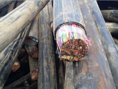 苏州相城区电力电缆回收当日报价