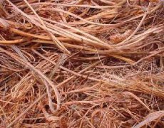 苏州全域电缆线四小时上门回收